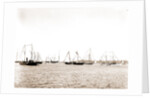 N.Y.Y.C. fleet, Vineyard Haven, August 7, '92, New York Yacht Club, Yacht clubs, Massachusetts, Vineyard Haven, 1892 by Anonymous