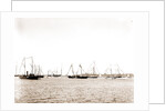 N.Y.Y.C. fleet, Vineyard Haven, August 7, '92, New York Yacht Club, Yacht clubs, Massachusetts, Vineyard Haven, 1892 by Anonymous