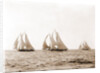 Ramona, Alcaea, and Merlin, Ramona (Schooner), 1892 by Anonymous
