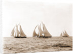 Ramona, Alcaea, and Merlin, Ramona (Schooner), 1892 by Anonymous