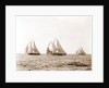 Ramona, Alcaea, and Merlin, Ramona (Schooner), 1892 by Anonymous