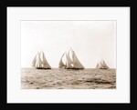 Ramona, Alcaea, and Merlin, Ramona (Schooner), 1892 by Anonymous