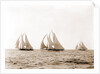 Ramona, Alcaea, and Merlin, Ramona (Schooner), 1892 by Anonymous
