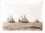 Ramona, Alcaea, and Merlin, Ramona (Schooner), 1892 by Anonymous