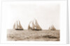Ramona, Alcaea, and Merlin, Ramona (Schooner), 1892 by Anonymous