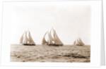 Ramona, Alcaea, and Merlin, Ramona (Schooner), 1892 by Anonymous