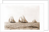 Ramona, Alcaea, and Merlin, Ramona (Schooner), 1892 by Anonymous