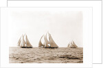 Ramona, Alcaea, and Merlin, Ramona (Schooner), 1892 by Anonymous