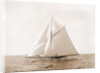 Harpoon (Yacht) by Anonymous