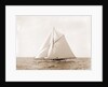 Harpoon (Yacht) by Anonymous