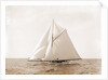 Harpoon (Yacht) by Anonymous