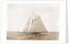 Harpoon (Yacht) by Anonymous