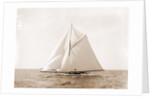 Harpoon (Yacht) by Anonymous