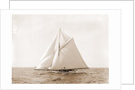 Harpoon (Yacht) by Anonymous