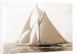 Harpoon (Yacht) by Anonymous