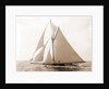 Harpoon (Yacht) by Anonymous