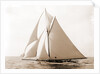 Harpoon (Yacht) by Anonymous