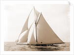 Harpoon (Yacht) by Anonymous
