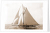 Harpoon (Yacht) by Anonymous