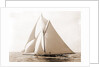 Harpoon (Yacht) by Anonymous