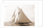 Harpoon (Yacht) by Anonymous