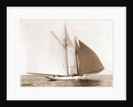 Alcaea (Schooner), 1892 by Anonymous