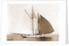 Alcaea (Schooner), 1892 by Anonymous