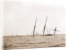 Wreck of Alba, Aug. 8, 1892, Alba (Yacht) by Anonymous