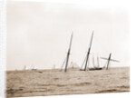 Wreck of Alba, Aug. 8, 1892, Alba (Yacht) by Anonymous