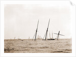 Wreck of Alba, Aug. 8, 1892, Alba (Yacht) by Anonymous