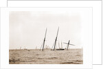 Wreck of Alba, Aug. 8, 1892, Alba (Yacht) by Anonymous