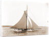 Babboon (Yacht) by Anonymous