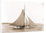 Babboon (Yacht) by Anonymous