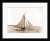 Babboon (Yacht) by Anonymous