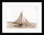 Babboon (Yacht) by Anonymous