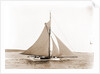 Babboon (Yacht) by Anonymous