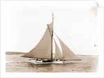 Babboon (Yacht) by Anonymous