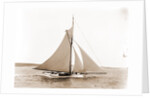 Babboon (Yacht) by Anonymous