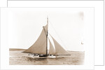 Babboon (Yacht) by Anonymous