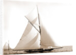 Wasp (Sloop), 1892 by Anonymous