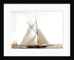 Wasp (Sloop), 1892 by Anonymous