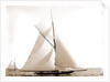 Wasp (Sloop), 1892 by Anonymous