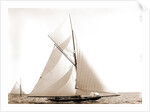 Wasp (Sloop), 1892 by Anonymous