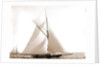 Wasp (Sloop), 1892 by Anonymous