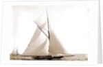 Wasp (Sloop), 1892 by Anonymous