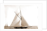 Wasp (Sloop), 1892 by Anonymous
