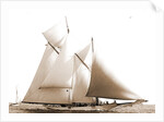 Constellation (Schooner), 1892 by Anonymous