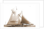 Constellation (Schooner), 1892 by Anonymous
