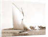 Typhoon (Yacht) by Anonymous