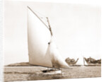 Typhoon (Yacht) by Anonymous
